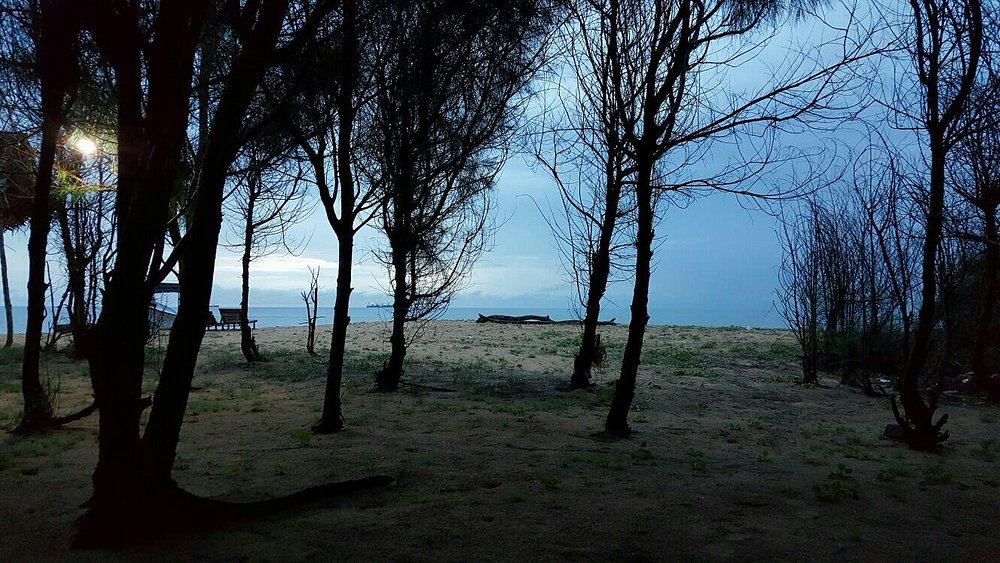 Beautiful Beach View